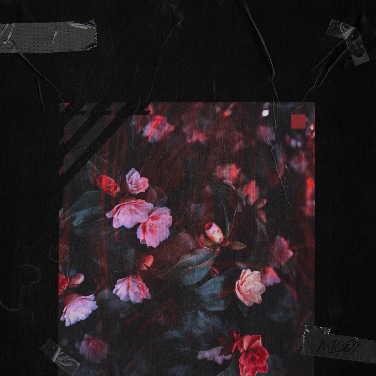 Capa oficial do remix de Iris, de Not Robert Barnes e Fndme., com participação de MICO
